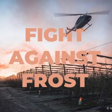 techniques to fight against frost